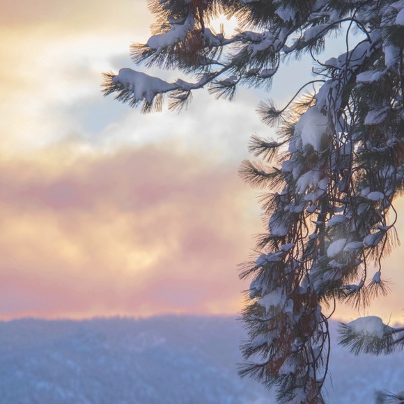 Hand-painted red cardinal earrings, 1.5” long sterling wires. OOAK birds Xmas - Picture 3 of 3